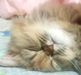 내숭덩어리였던 라엘!