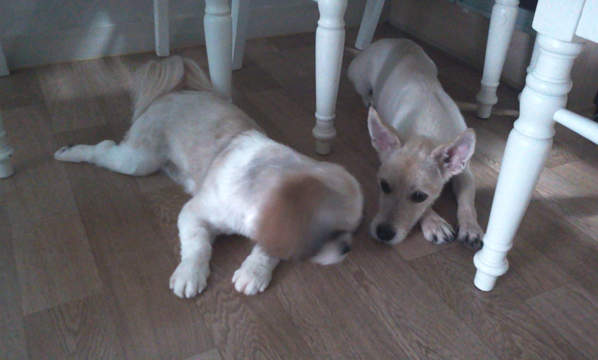 정말 오랜만에 [앤드류] 사진 올려드립니다