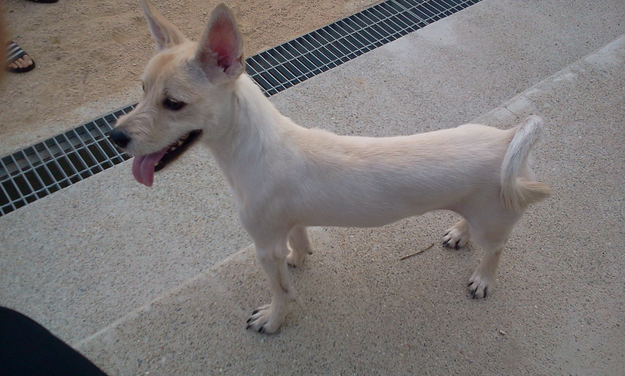 정말 오랜만에 [앤드류] 사진 올려드립니다