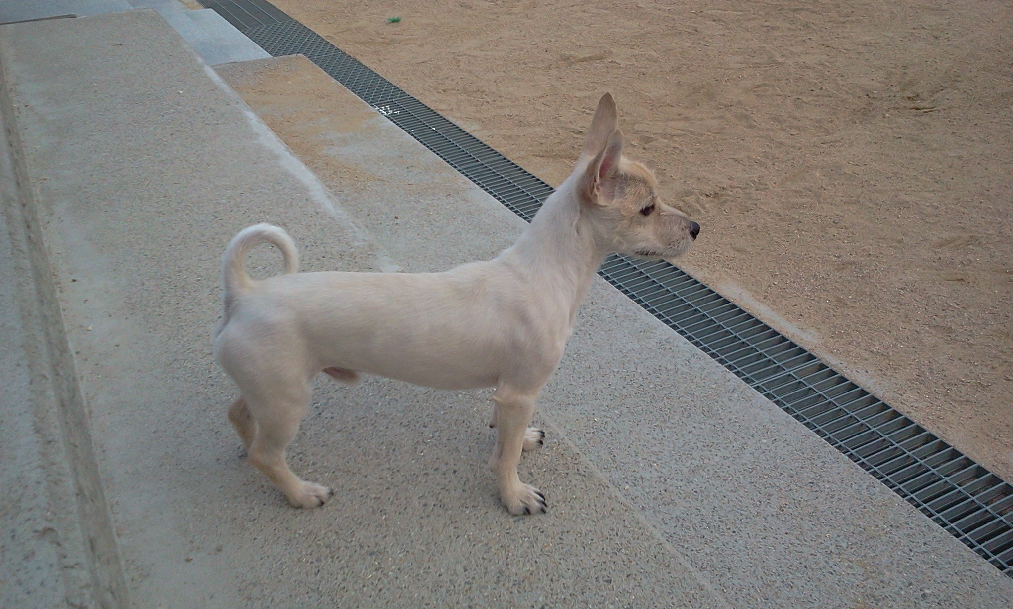 정말 오랜만에 [앤드류] 사진 올려드립니다