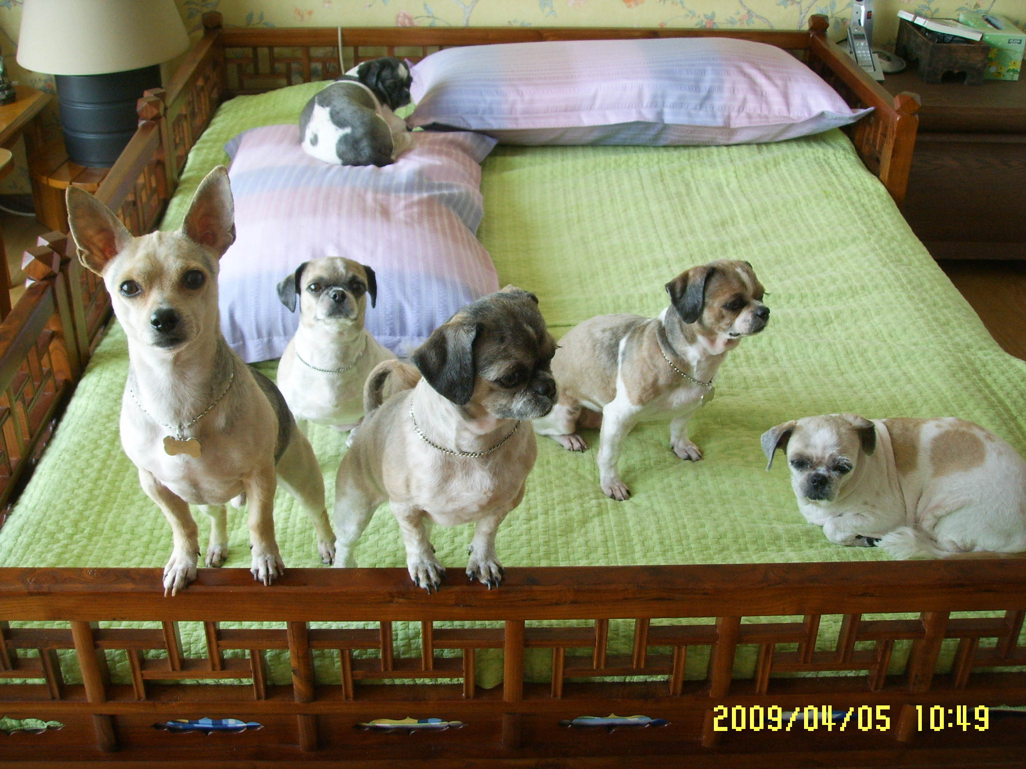 오늘 새벽...알탕이가 갔습니다....