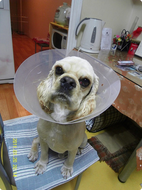 월요일에 봉사가도 되나요?(6/6)