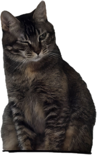 (현)후추 (구)마동이 한달 됐어요!