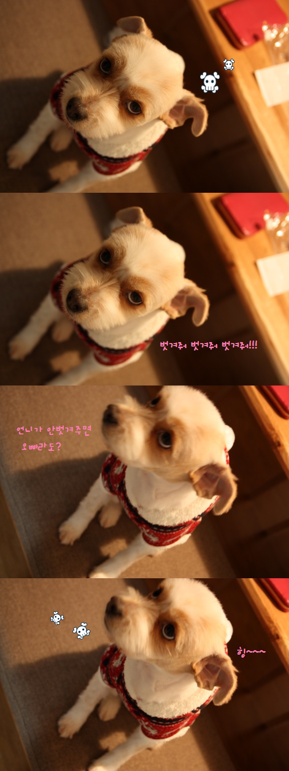 뚱순이 겨울외출복 장만기!