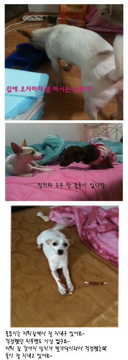 * 울동이는 잘 지내고 있어요~