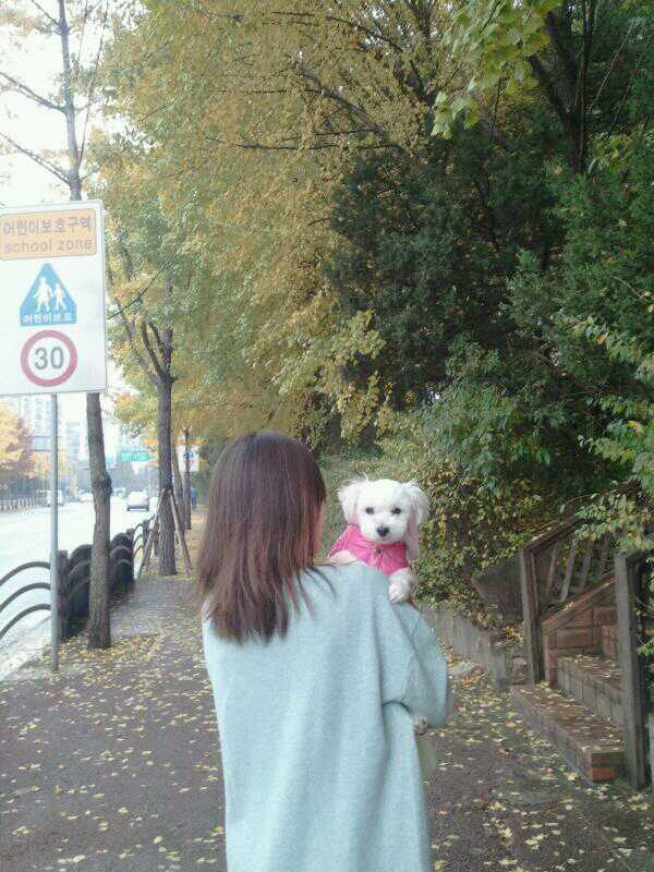 축복이(=똘망이) 동자련 가족들께 안부 인사드립니다