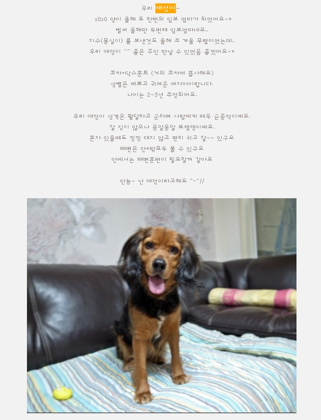 [D11-139관외] 애정이 인사드려요!(임보중)