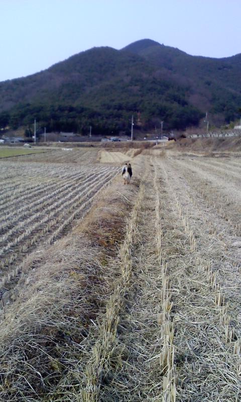 베를린 설날 사진(너무 늦은...)