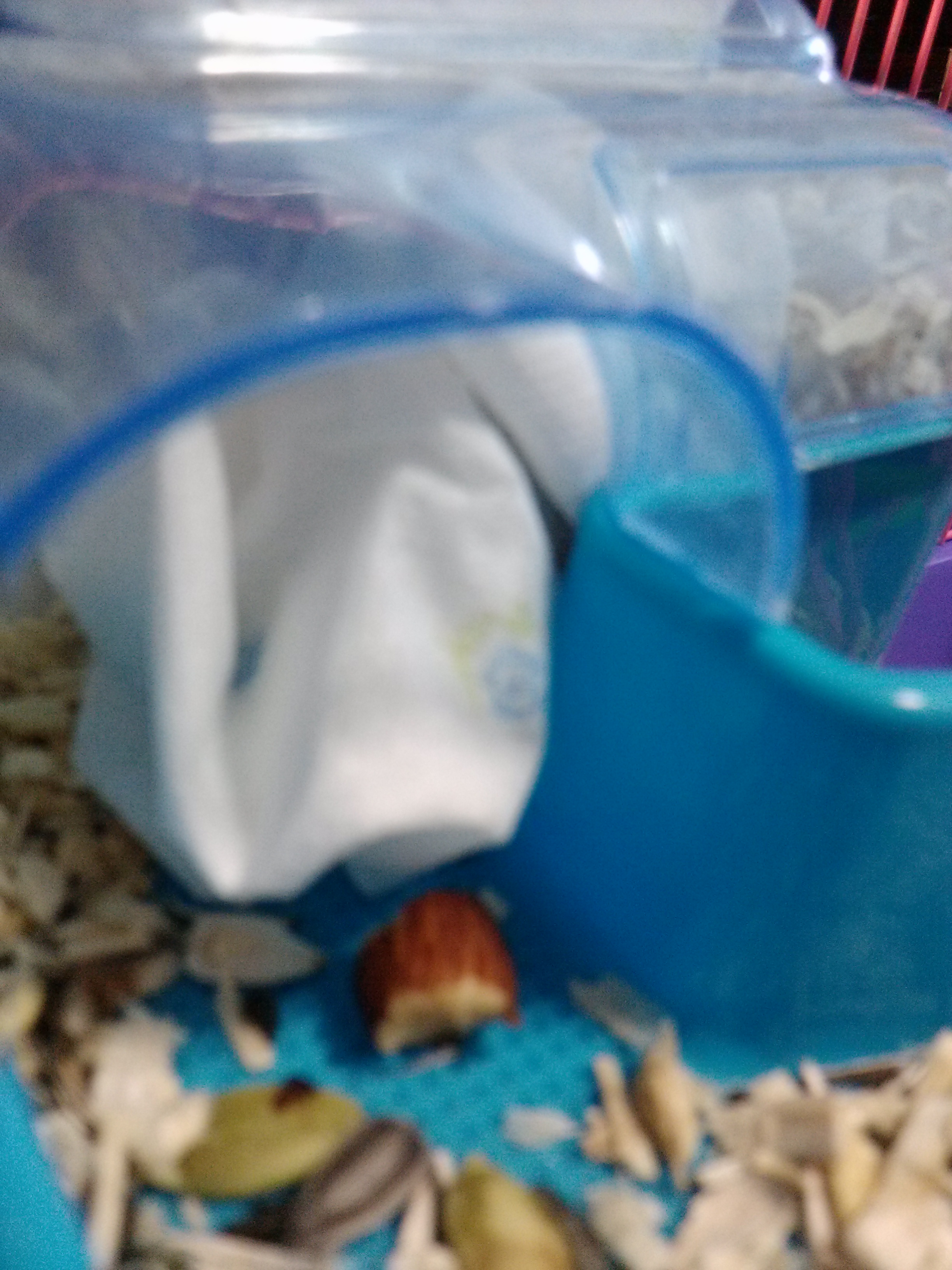 야임마에서 밍크로 사진첨부