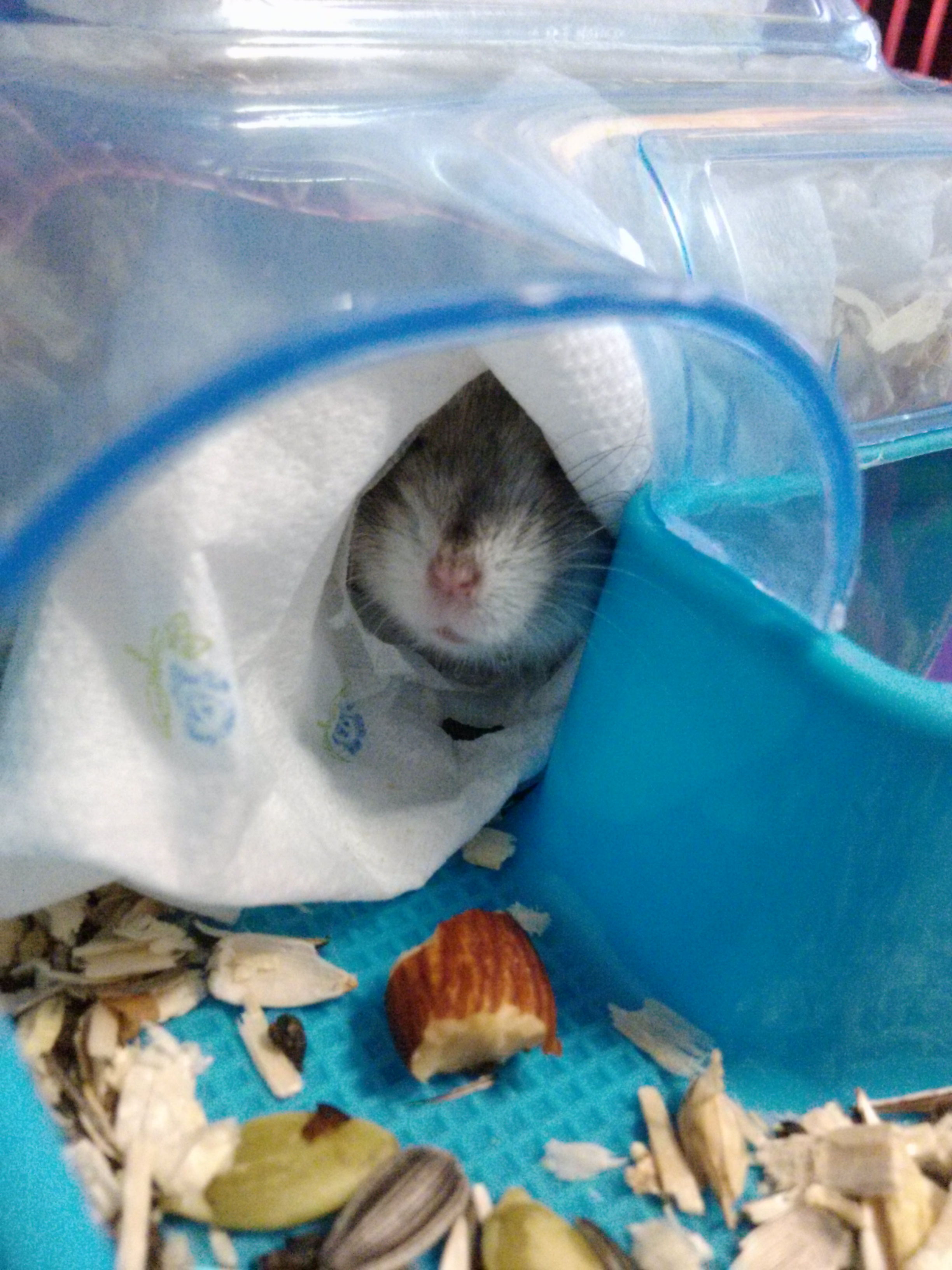 야임마에서 밍크로 사진첨부