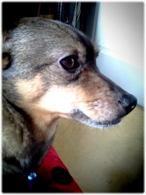 안녕하세요,, 졸리에요 ^_^