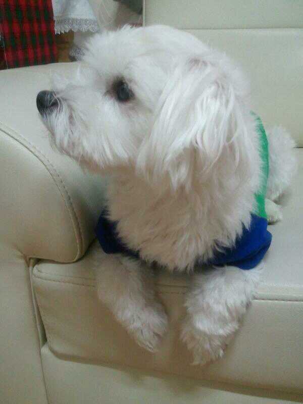 앉아있는 모습도 귀여운 축복이~