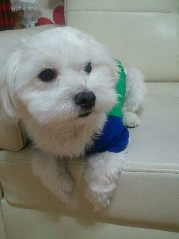 앉아있는 모습도 귀여운 축복이~