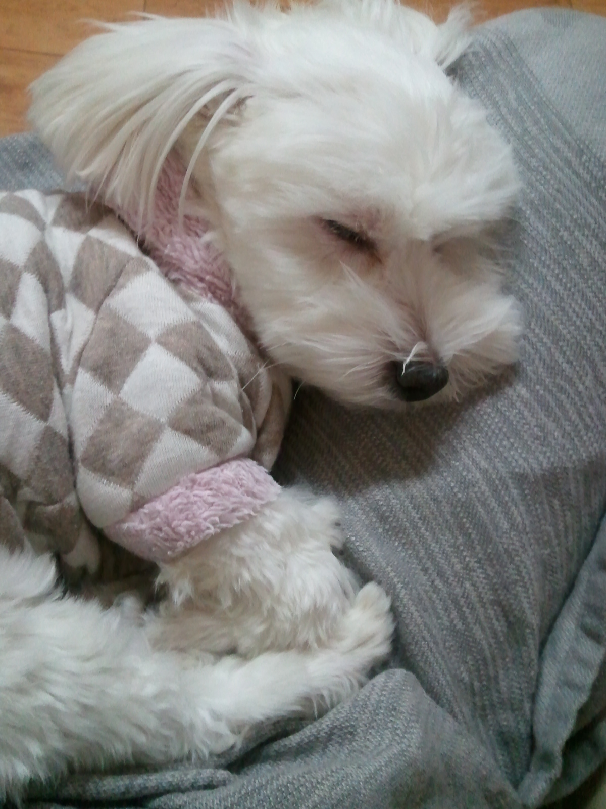 앉아있는 모습도 귀여운 축복이~