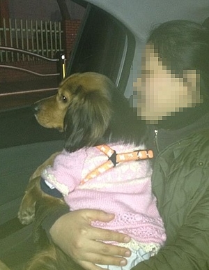 애정이 입양 에필로그