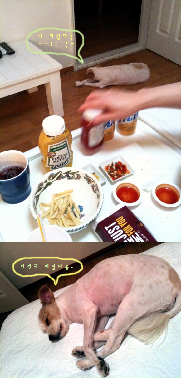 [사진추가] 민뚱 T-T