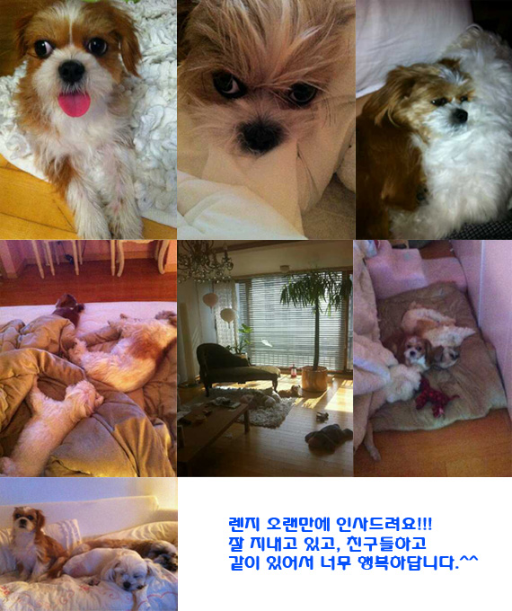 렌지 입양후기 올려요!! ^^