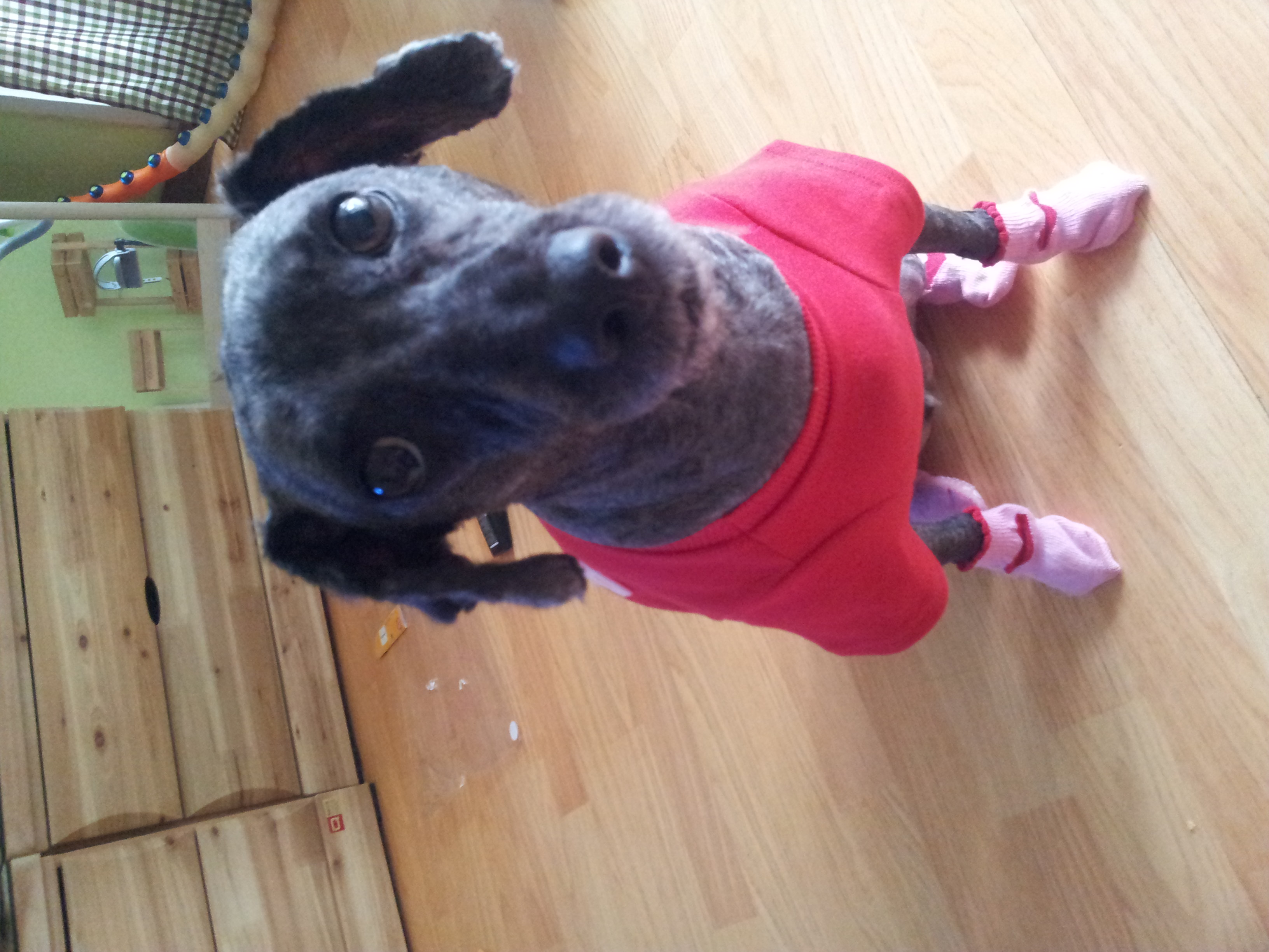 아주오랜만에 포동이근황이요^^