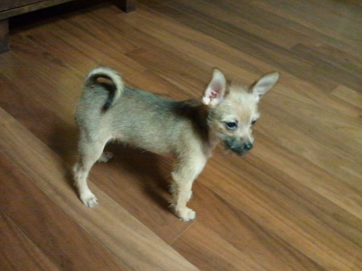 아롬이 인사드려요....