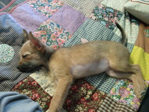 아롬이 인사드려요....