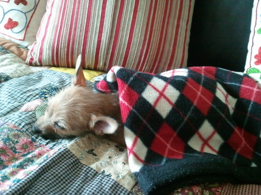 아롬이 인사드려요....