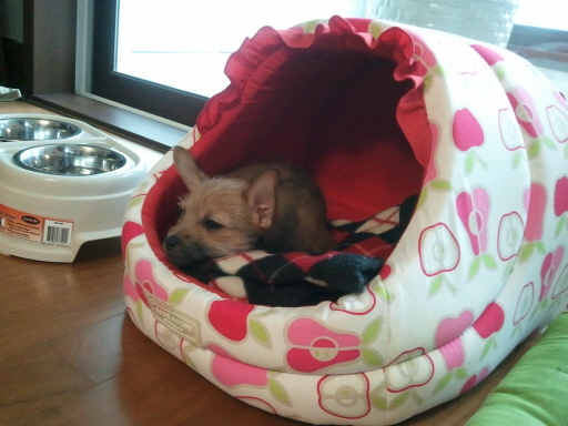 아롬이 인사드려요....