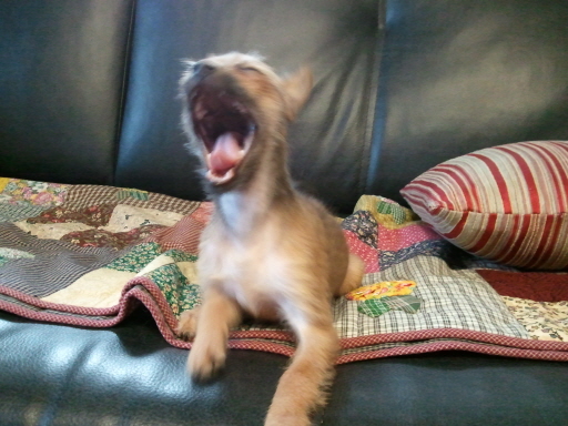 아롬이 인사드려요....