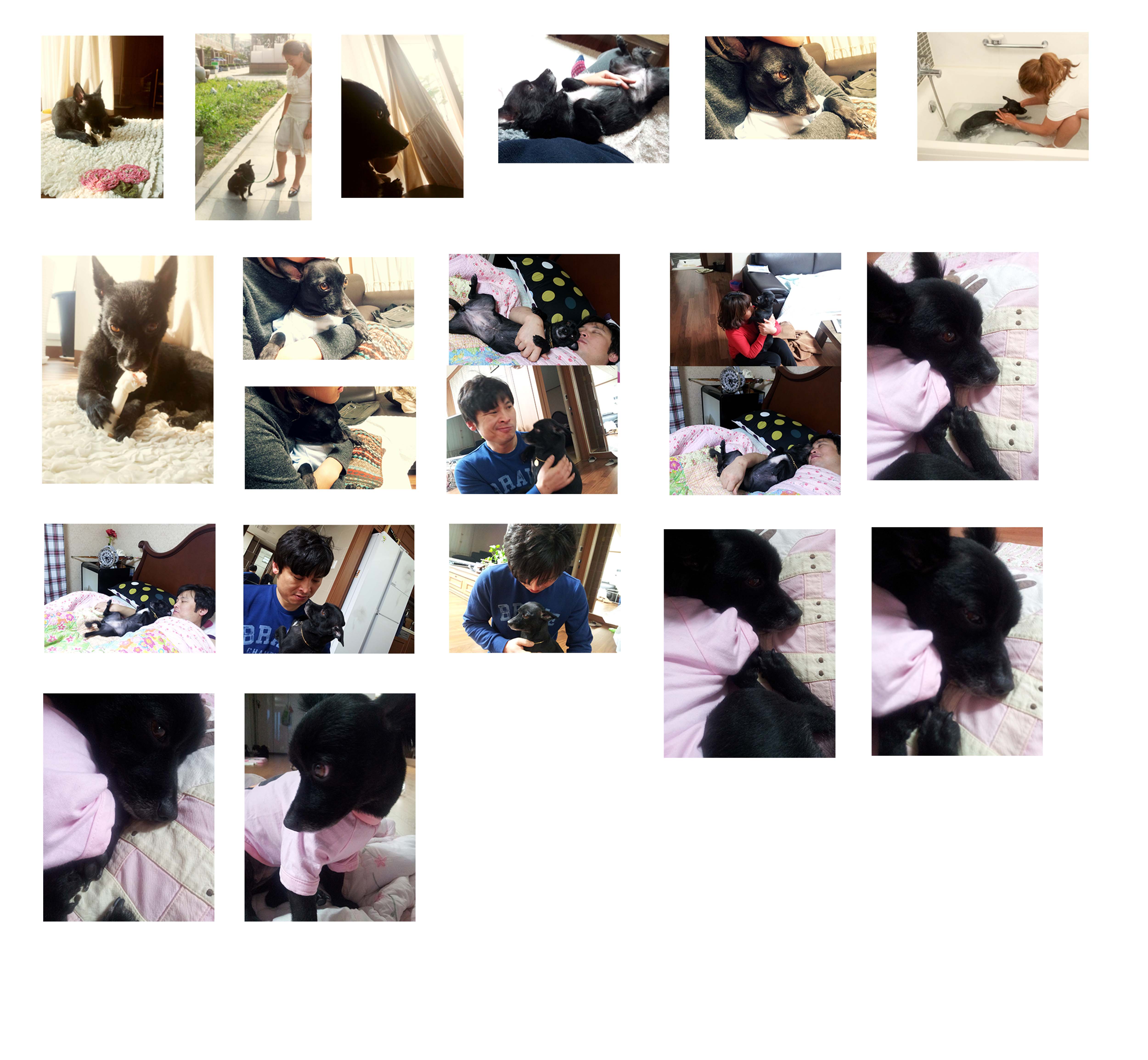 오랜만에 깜순이 소식이요~