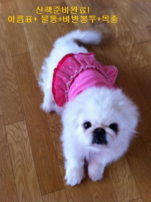 난이의 주말산책