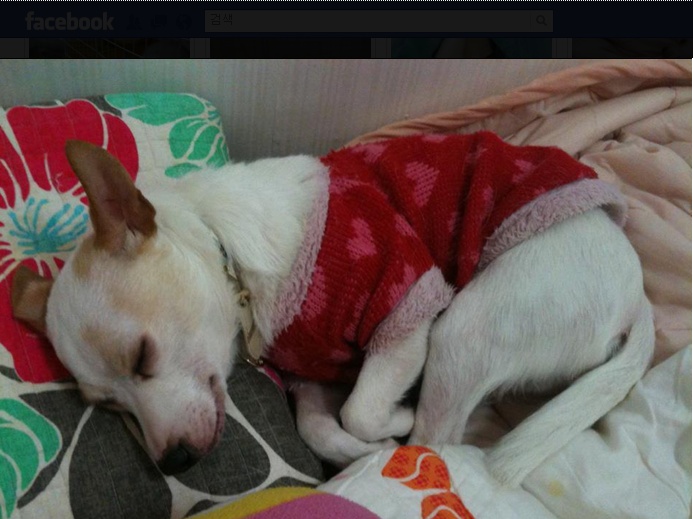 울동이 임보일기 두번째