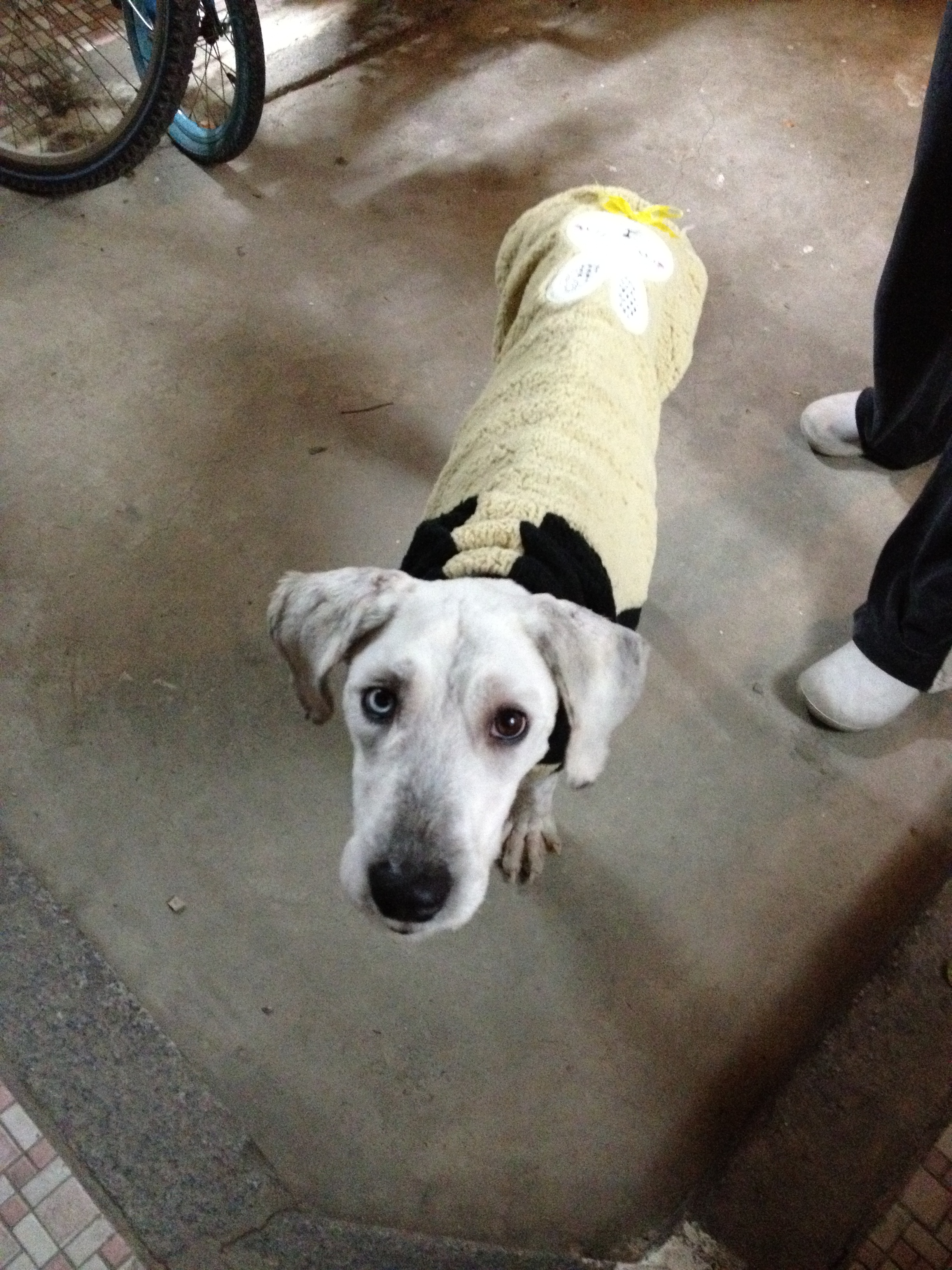 쌔미 후기 두번째