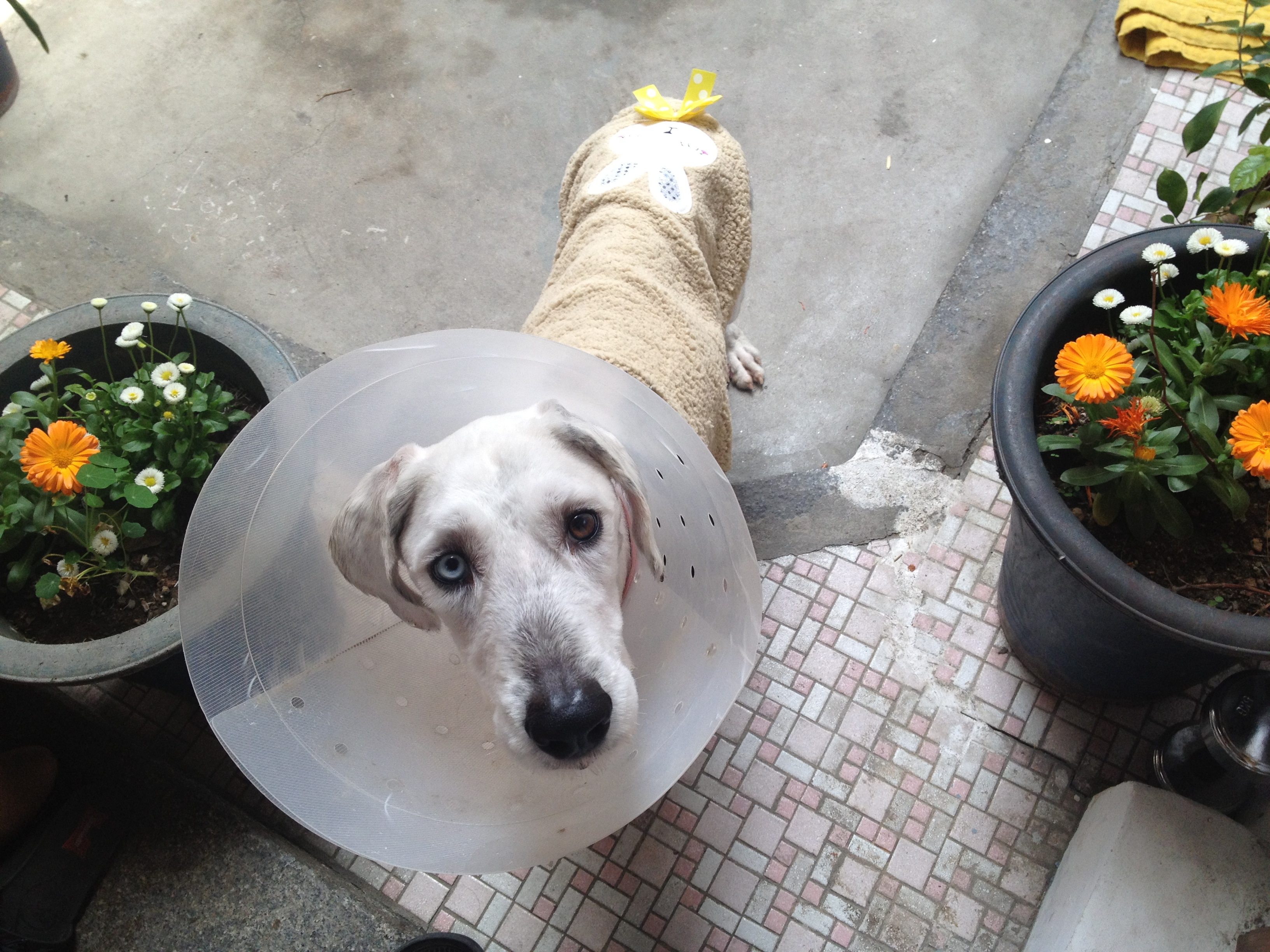 쌔미 후기 두번째