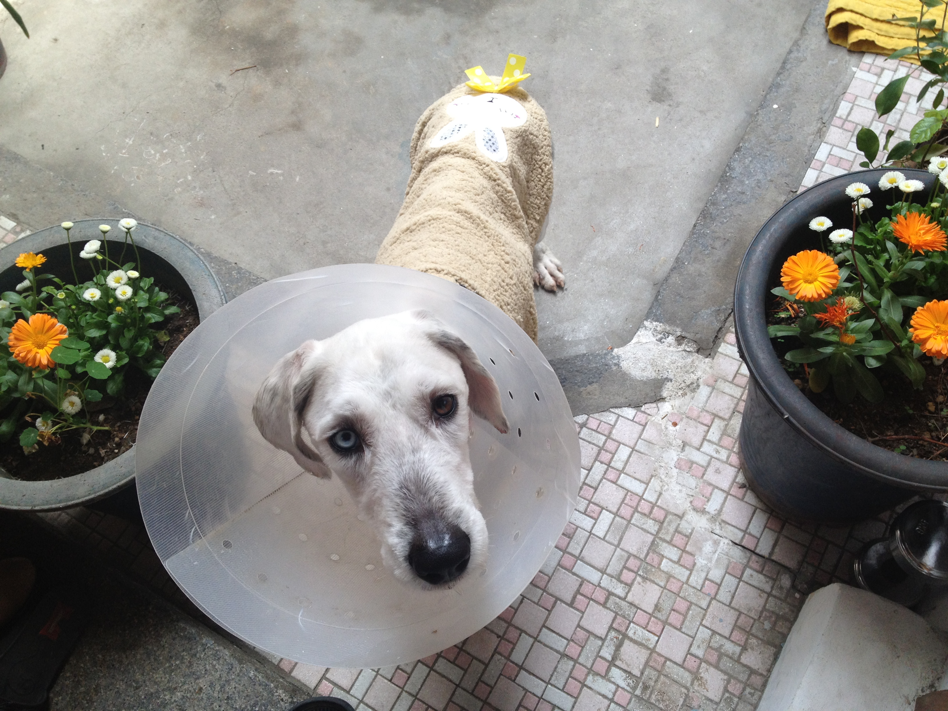 쌔미 후기 두번째