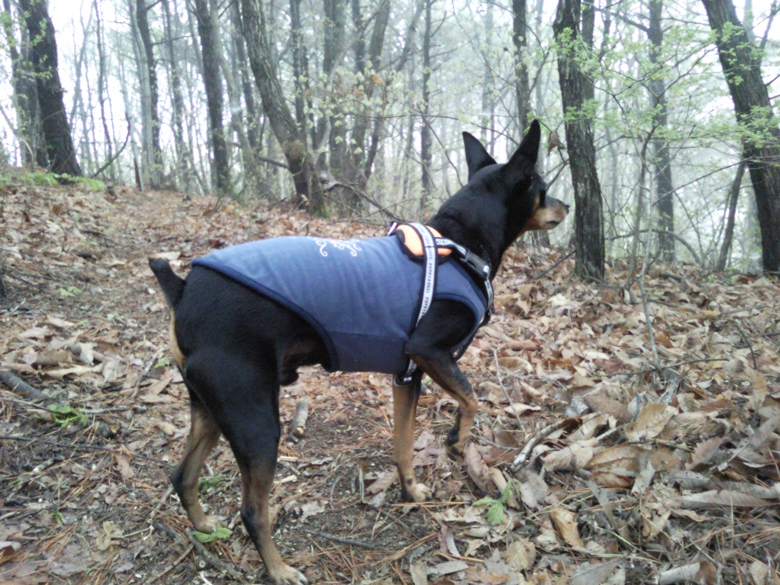 가장 최근 아침 운동 인증 샷 요~