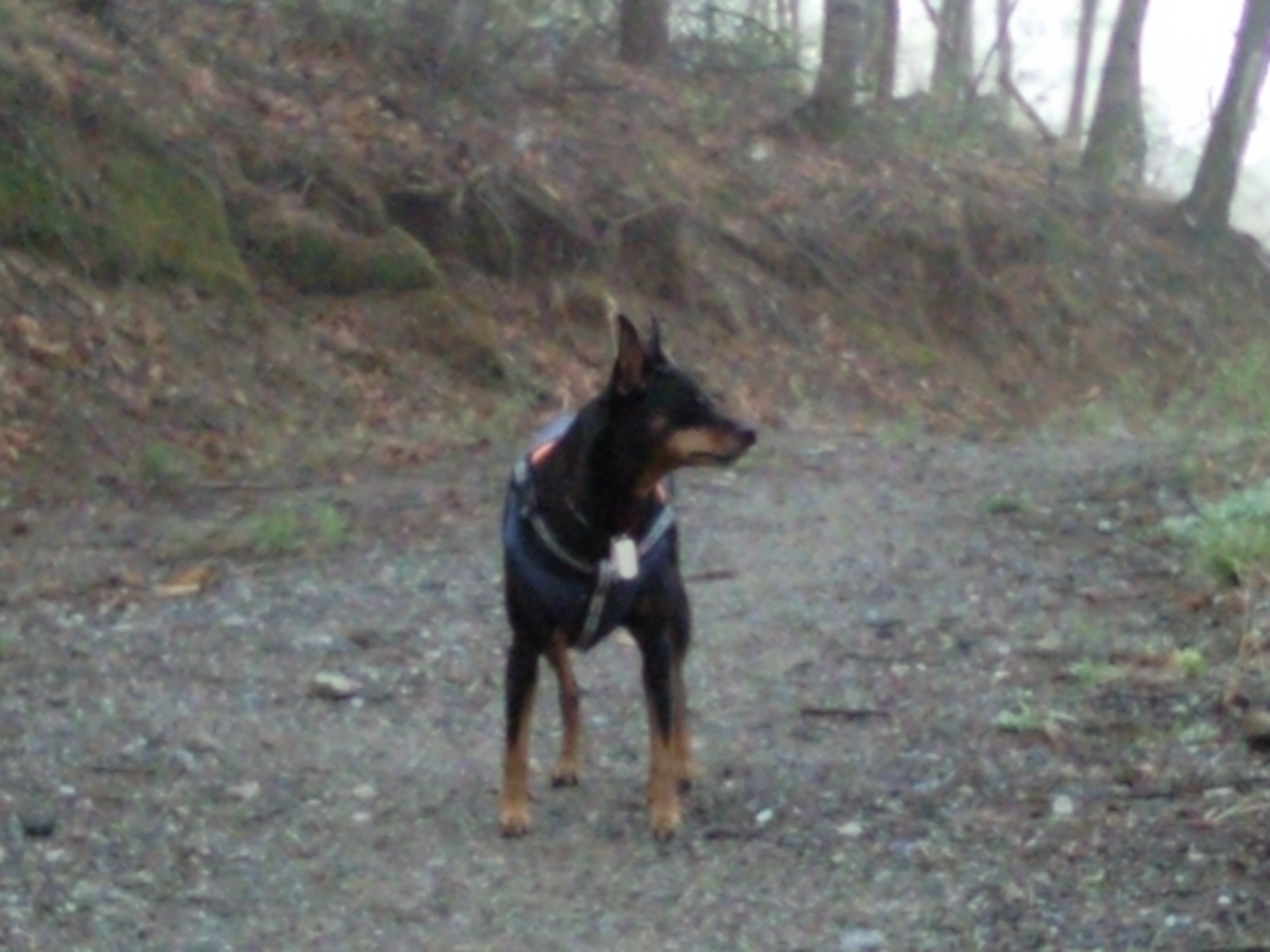 가장 최근 아침 운동 인증 샷 요~