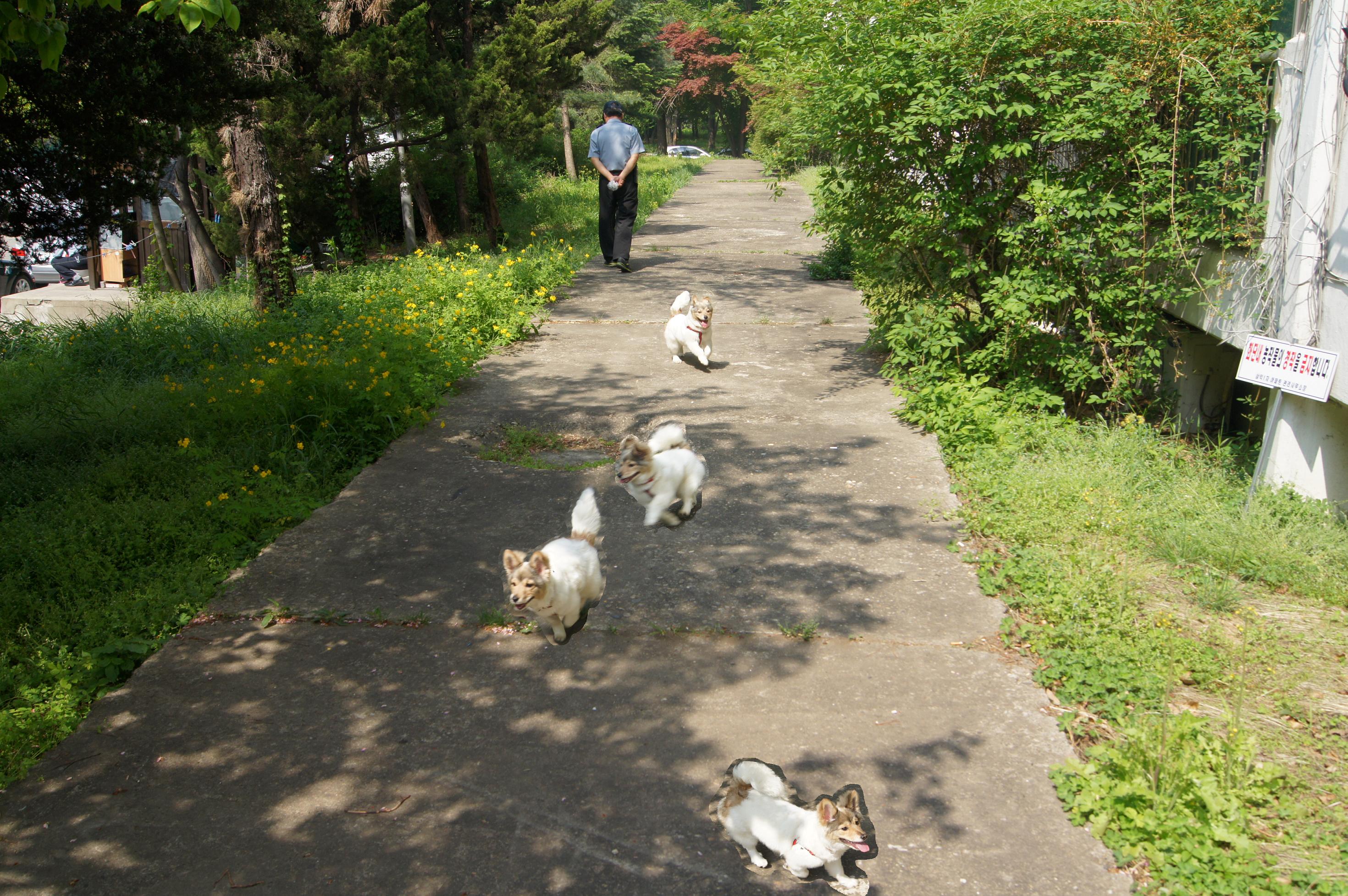미소의 두번째 소식