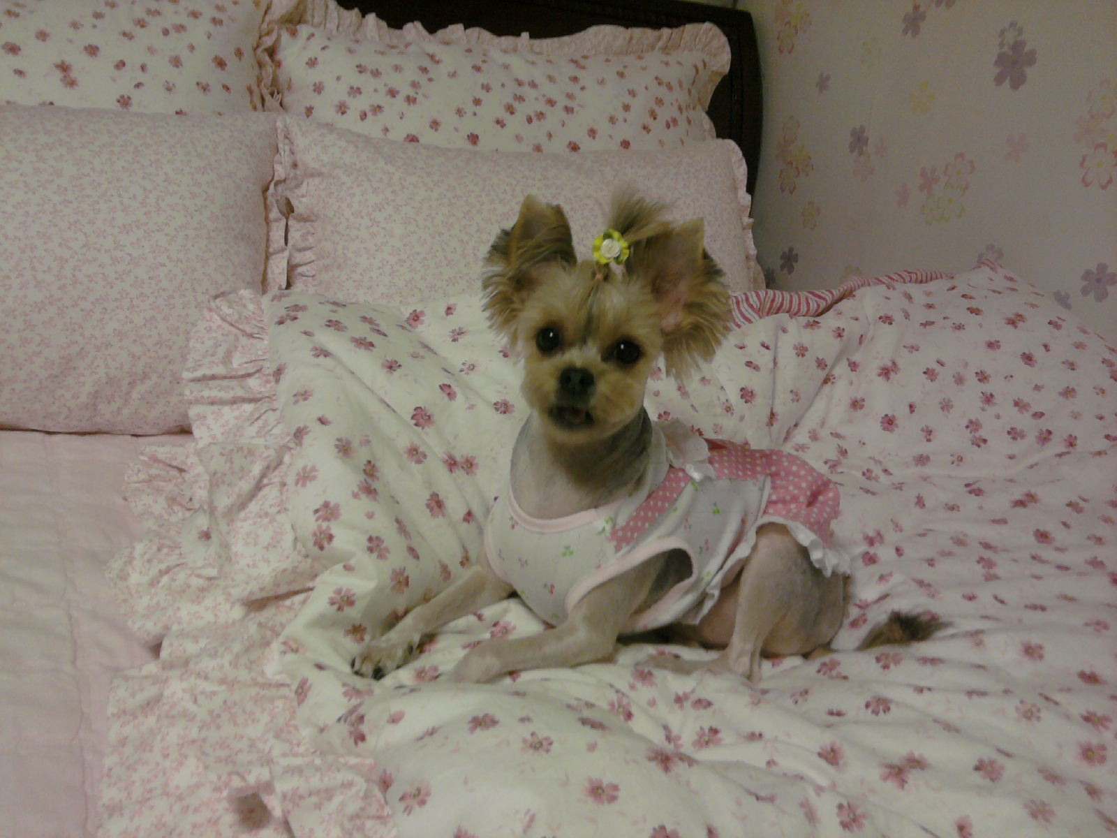 안녕하세요 지니엄마에요..