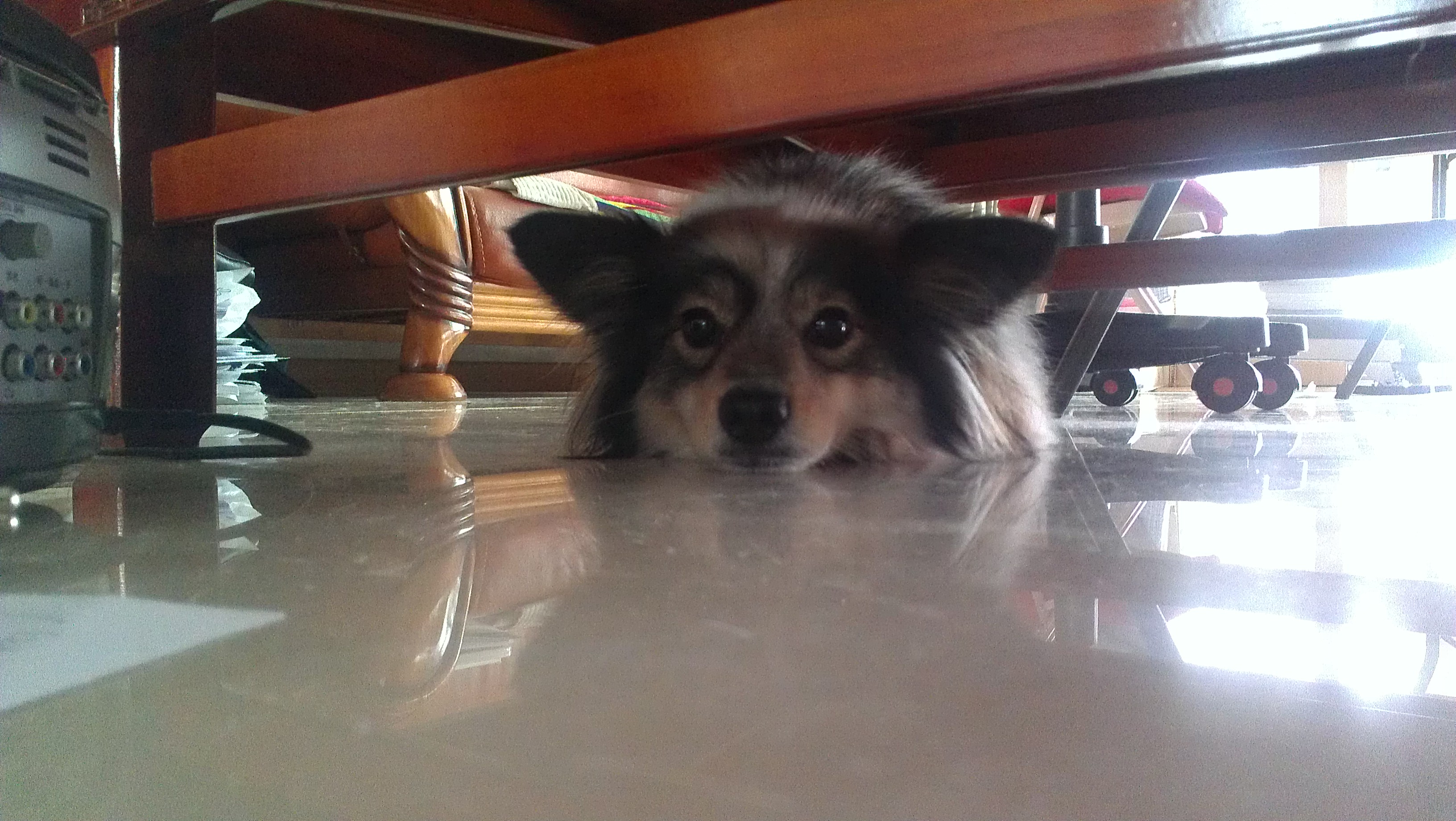 하이고 더워라ㅜㅜ