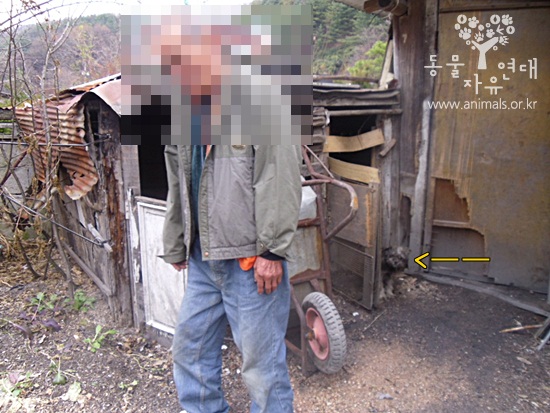 햇살이의 과거;;