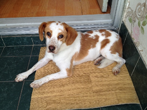 우리이제 친해졌어요..^^