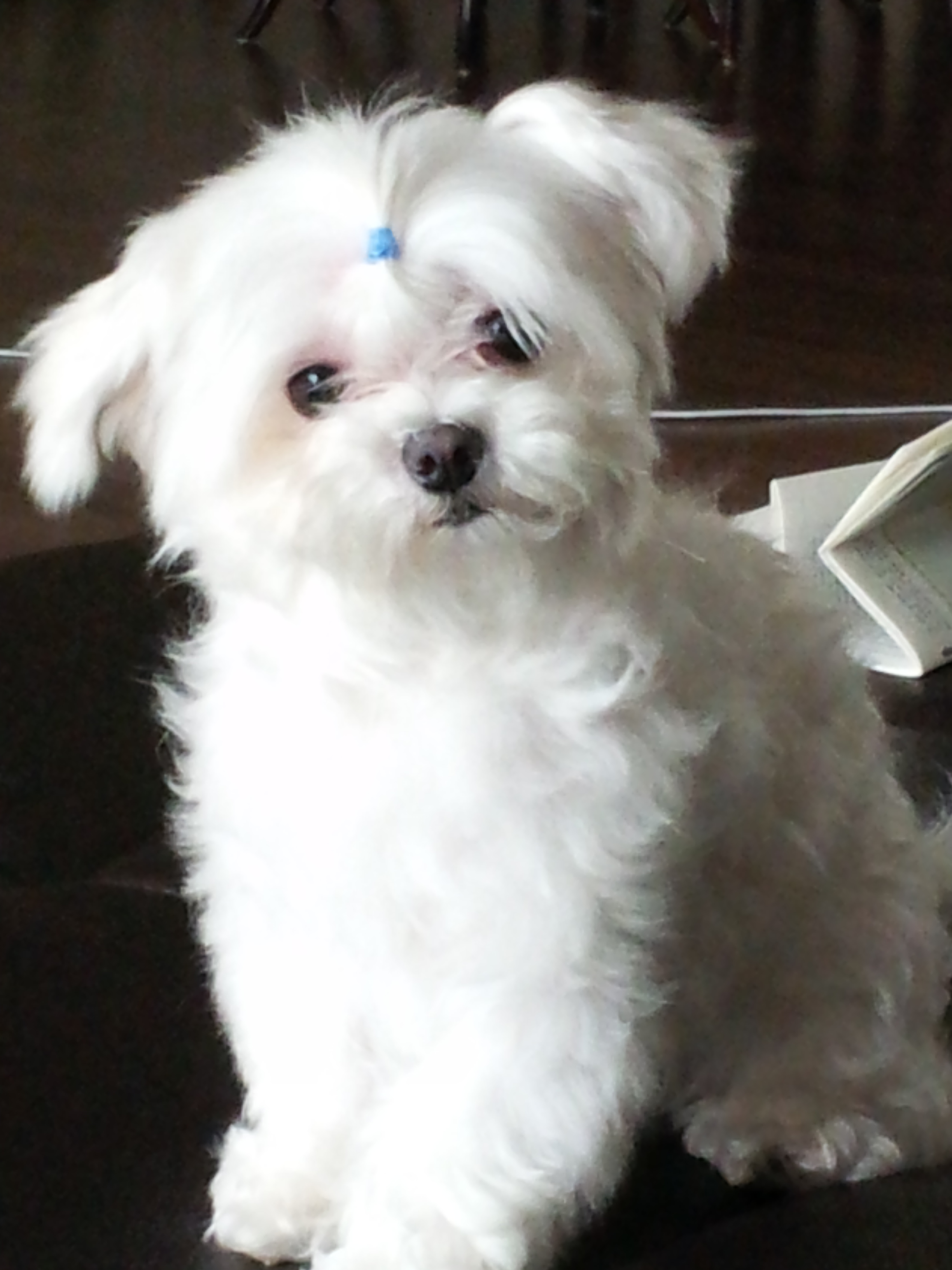 미용하고 한숨자요~~