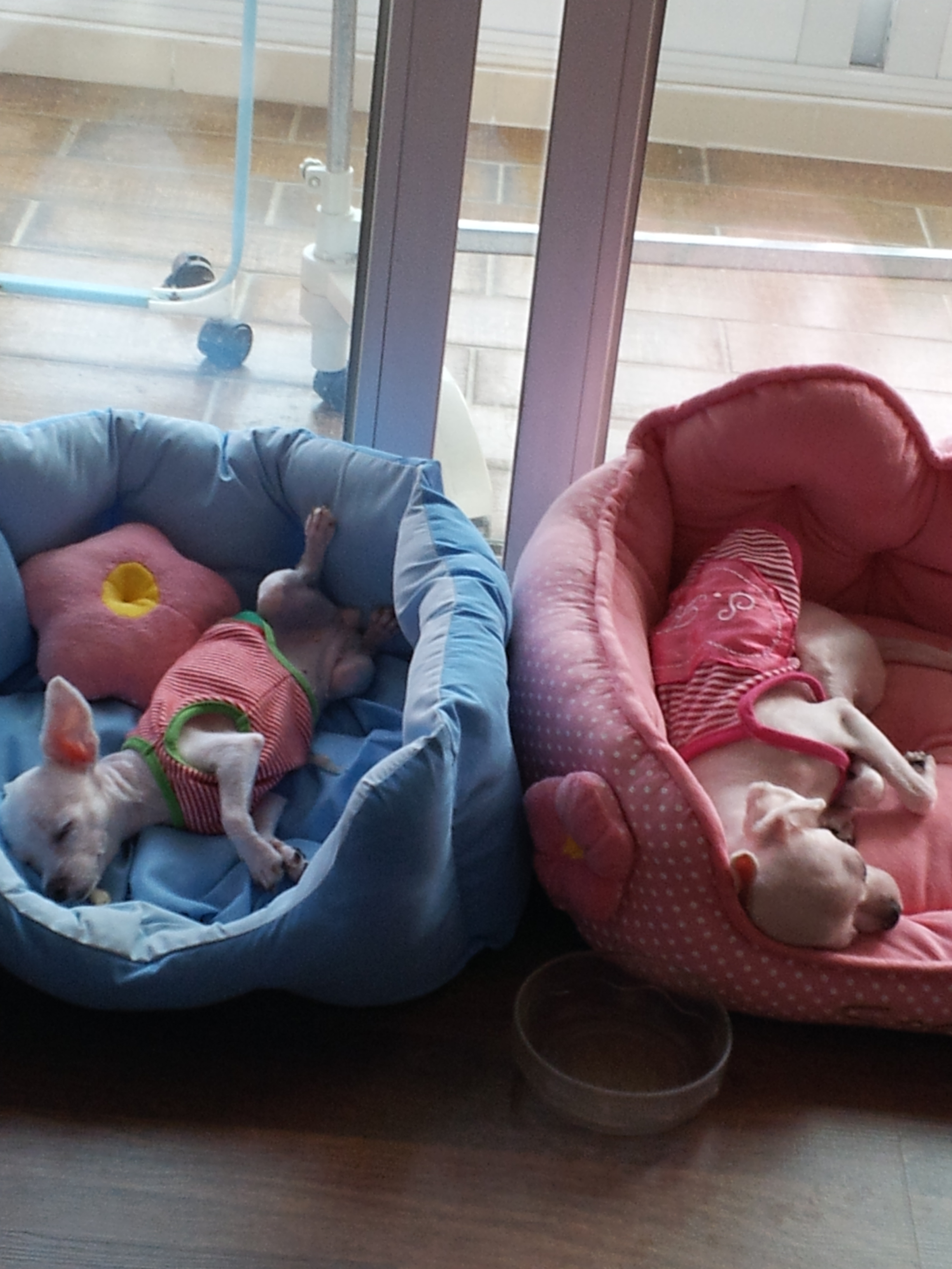 미용하고 한숨자요~~