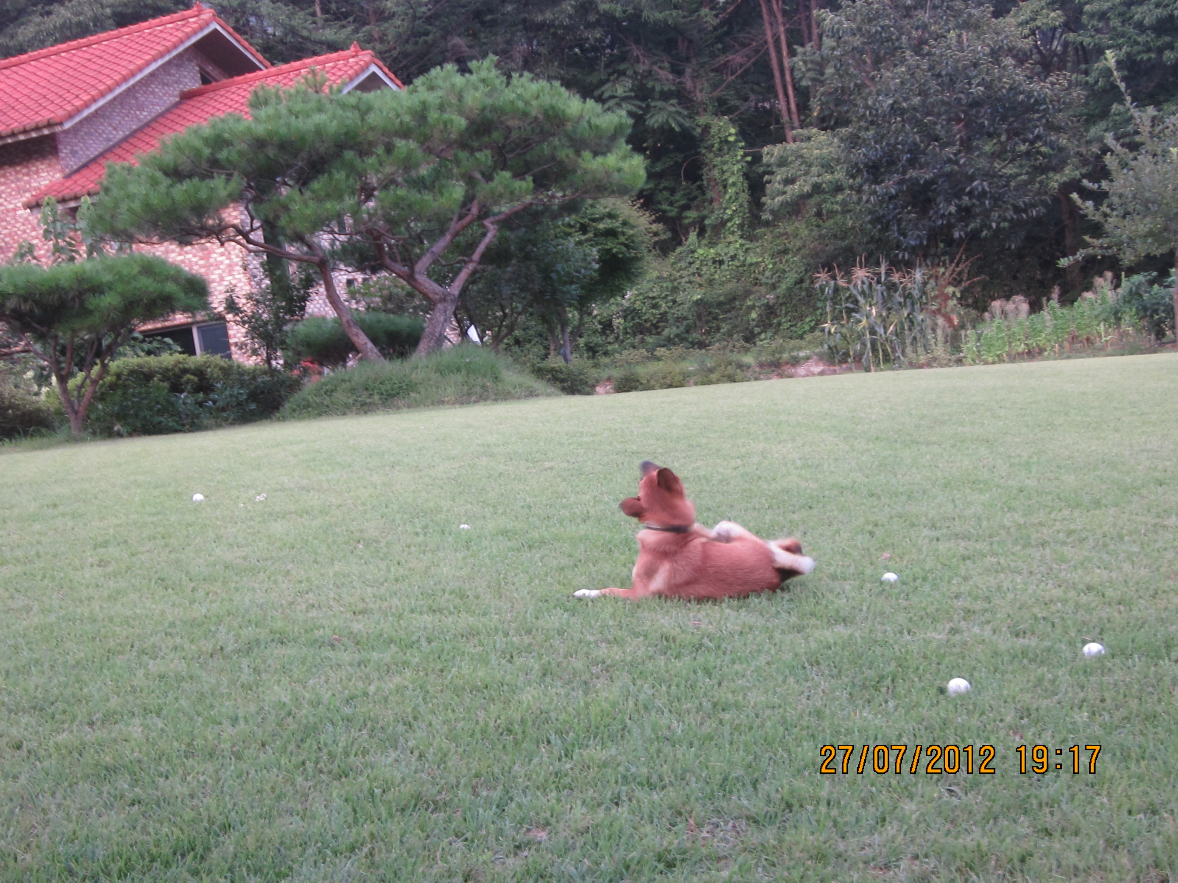 나의 캐디 범이