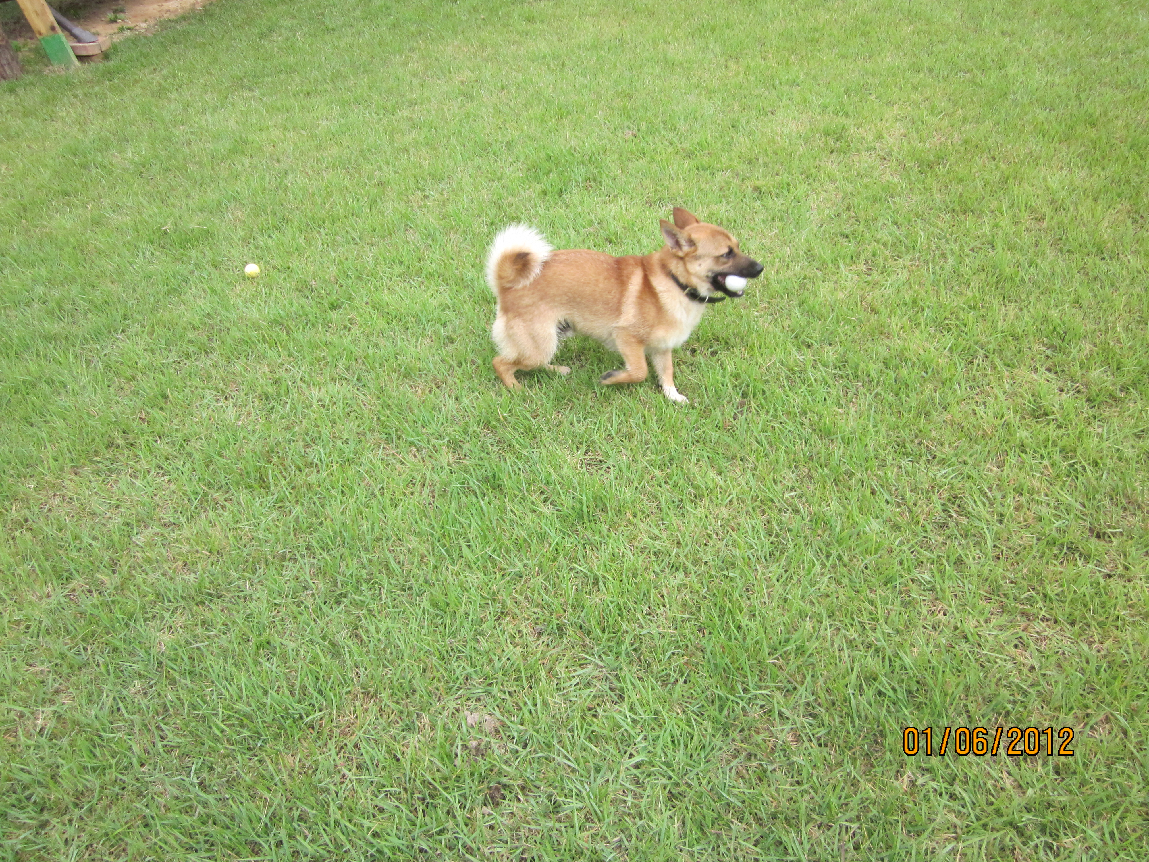 나의 캐디 범이