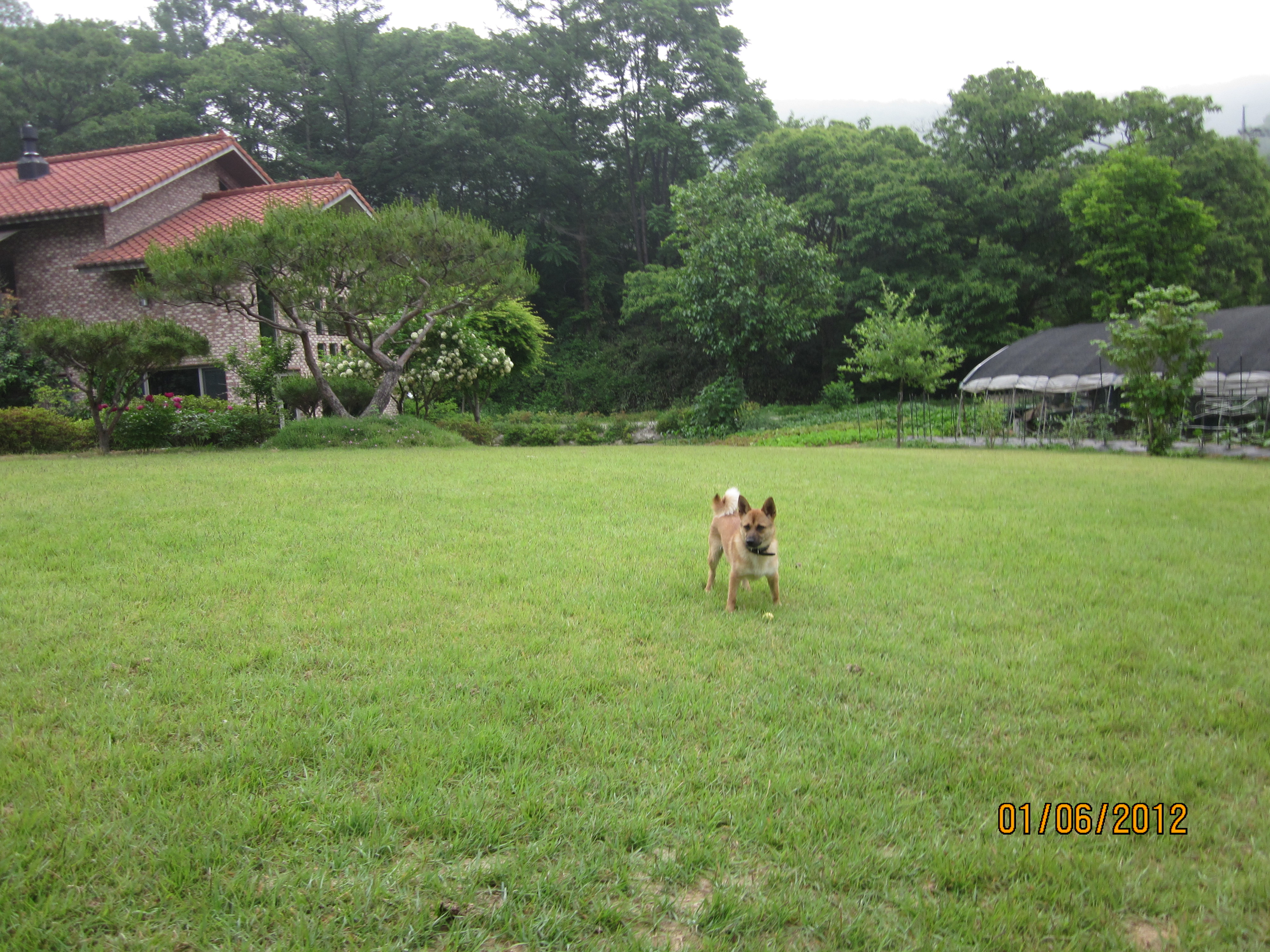 나의 캐디 범이