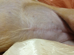 올만에 지지 사진!!