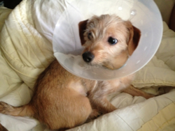 올만에 지지 사진!!