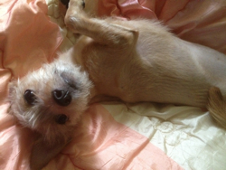 올만에 지지 사진!!