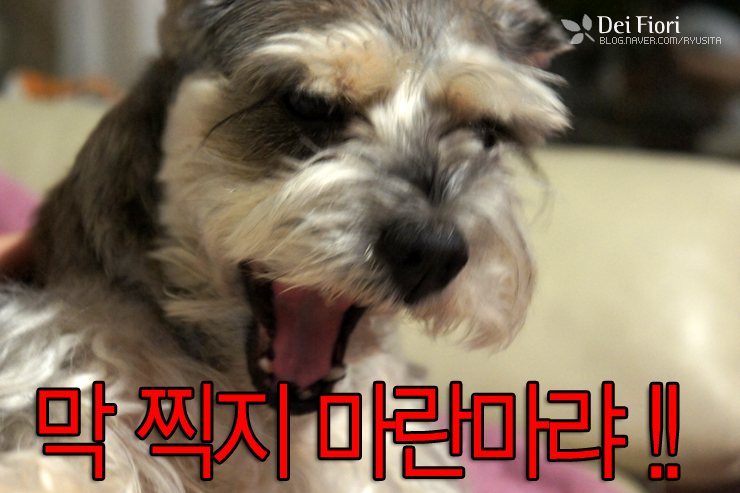 얼마 남지 않았어도 사랑할것입니다.