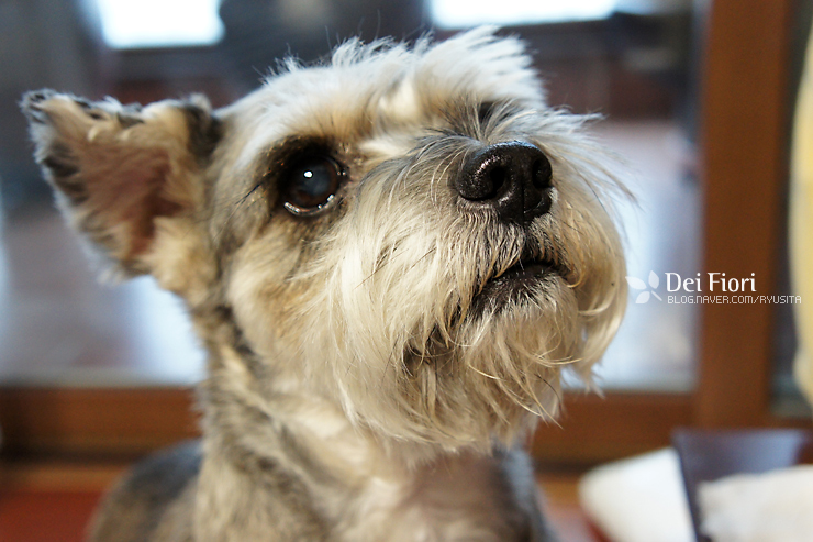 얼마 남지 않았어도 사랑할것입니다.